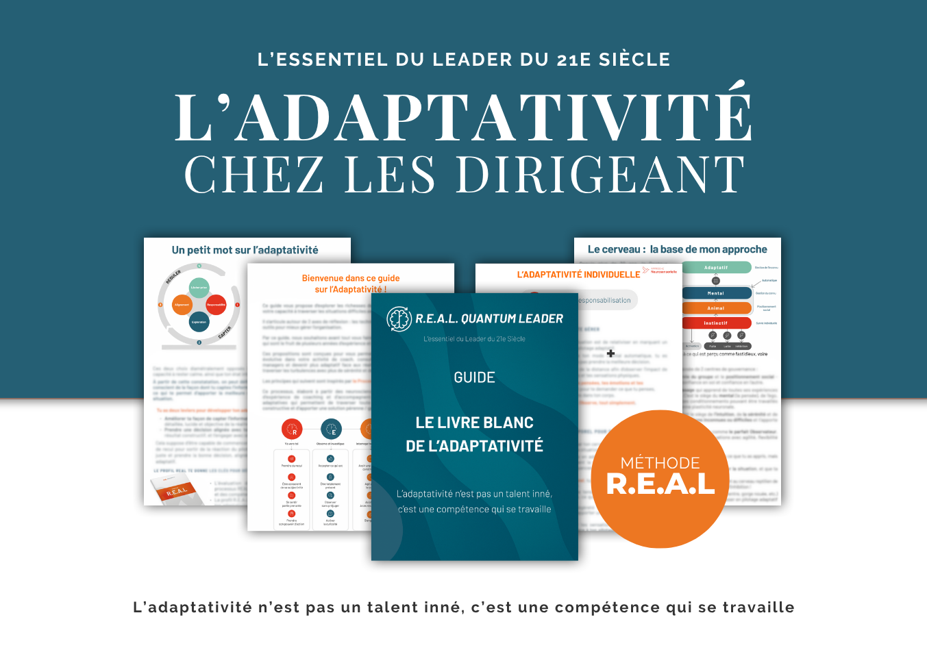 Livre Blanc Adaptativité