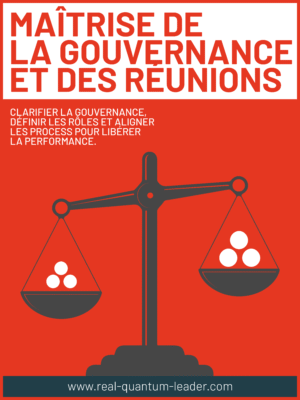 Maîtrise de la Gouvernance et des Réunions